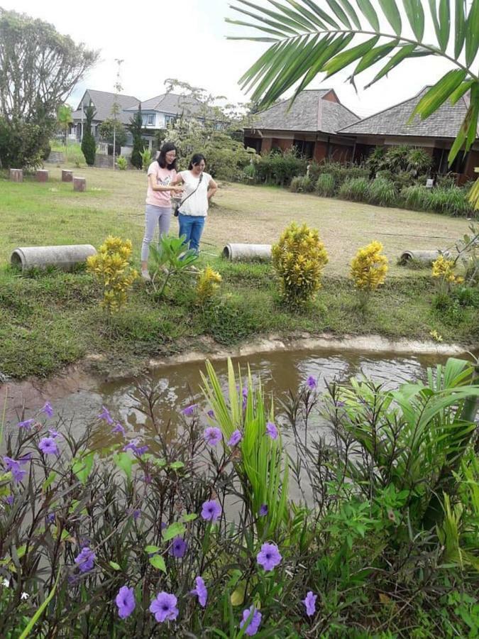 Banviewpui Resort Chiang Rai Bagian luar foto